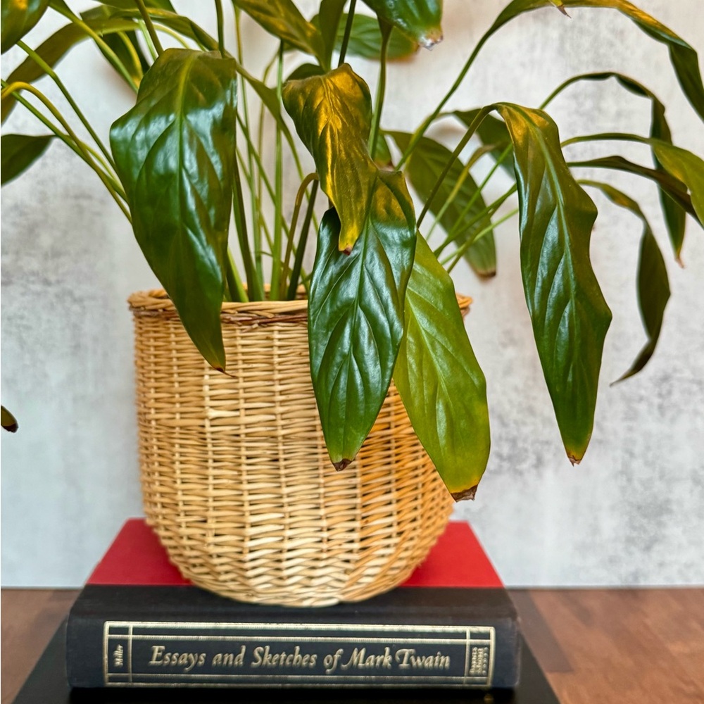 Natural Woven Basket Planter